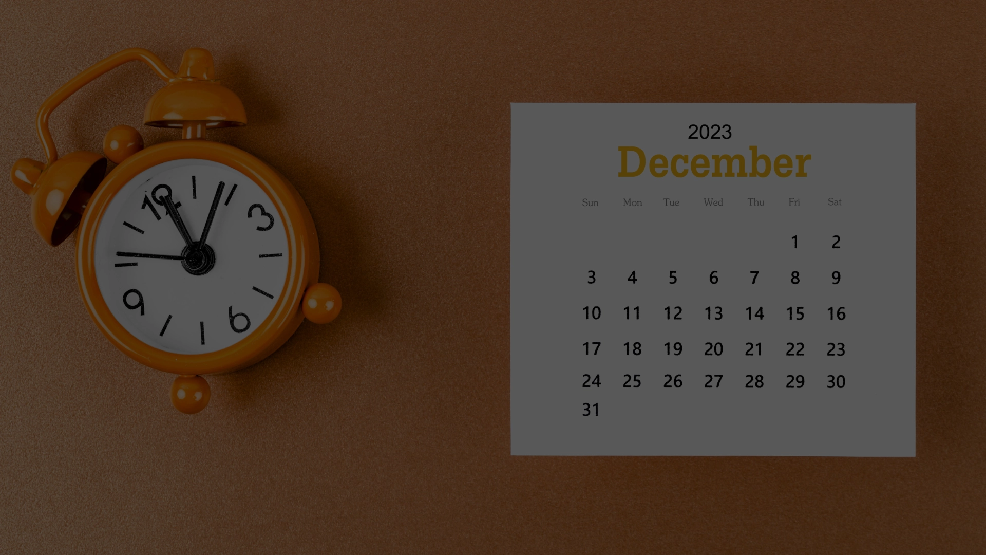 Marronniers décembre 2024